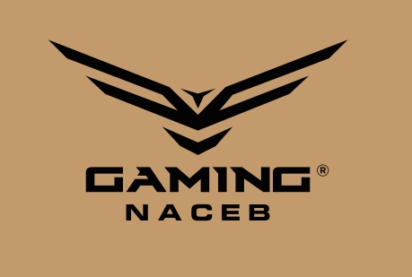 Naceb Gaming  logo at 80 PLUS® PSU Certification Program