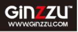 GINZZU TECHNOLOGY LIMITED