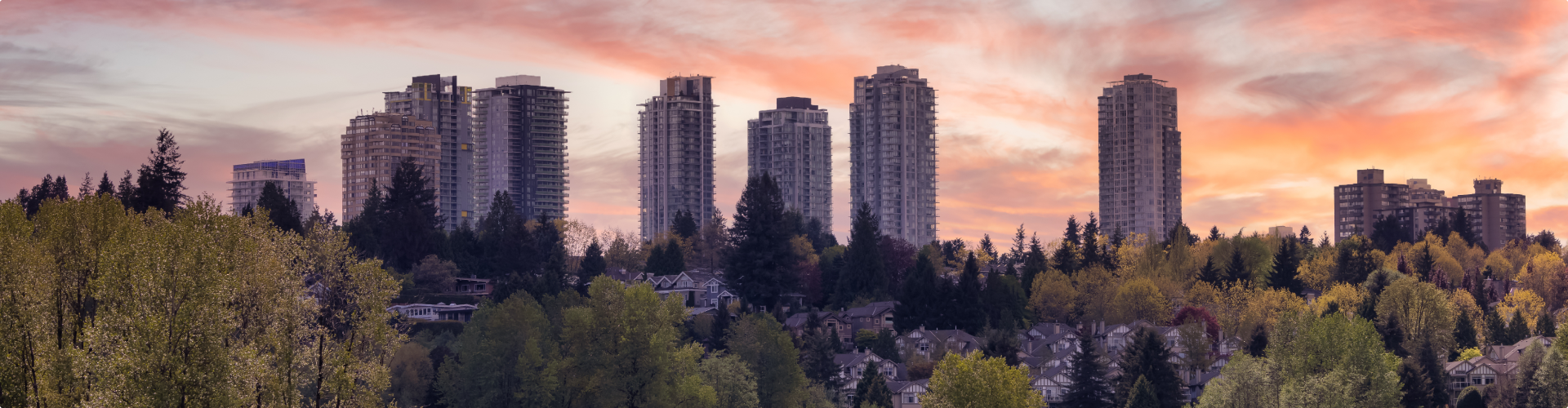 Rental Apartment Efficiency Program