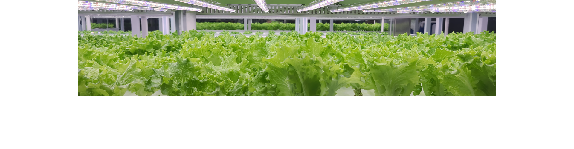 Agriculture