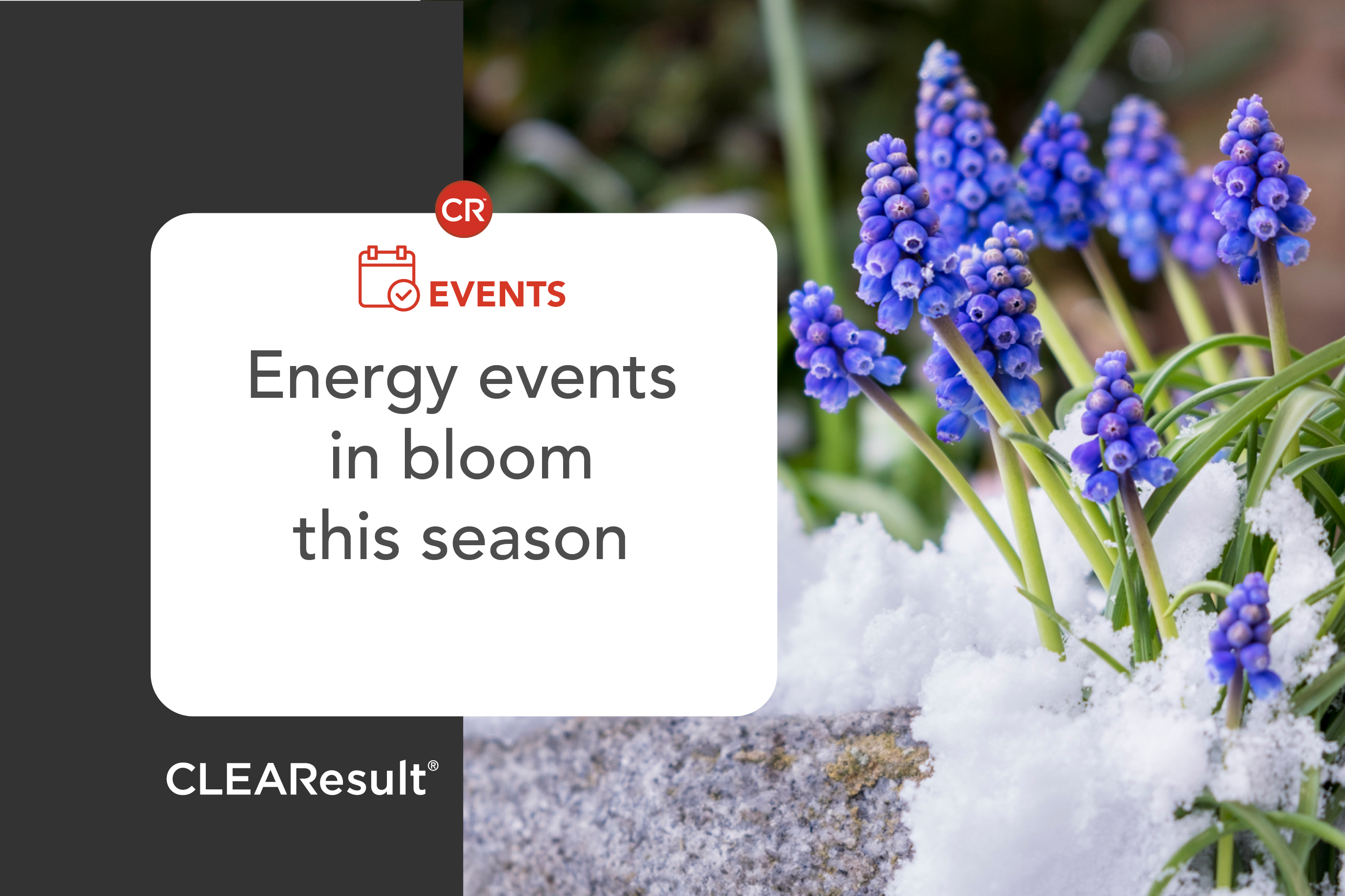 Energy events in bloom this season