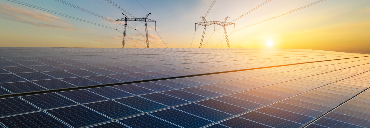 Distributed Energy Resource Management Background