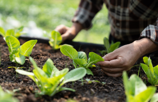 Energy-saving solutions for indoor growers